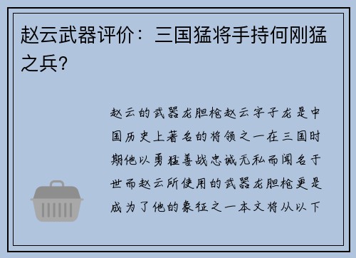 赵云武器评价：三国猛将手持何刚猛之兵？